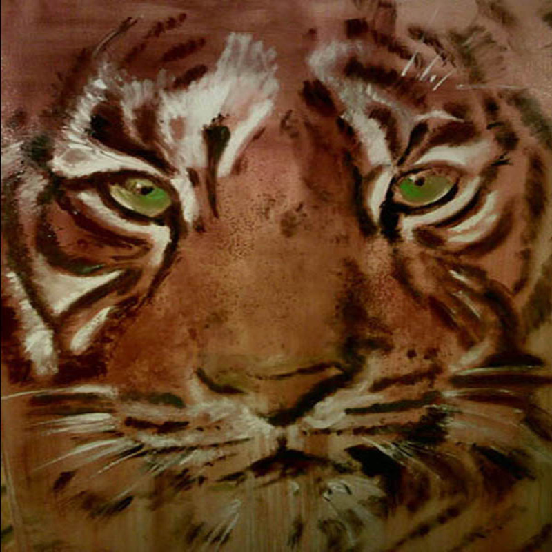 El tigre – Felin