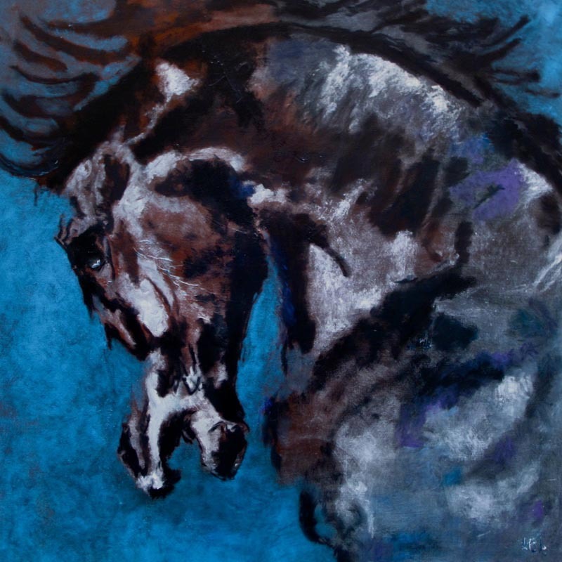 Embalée – Cheval