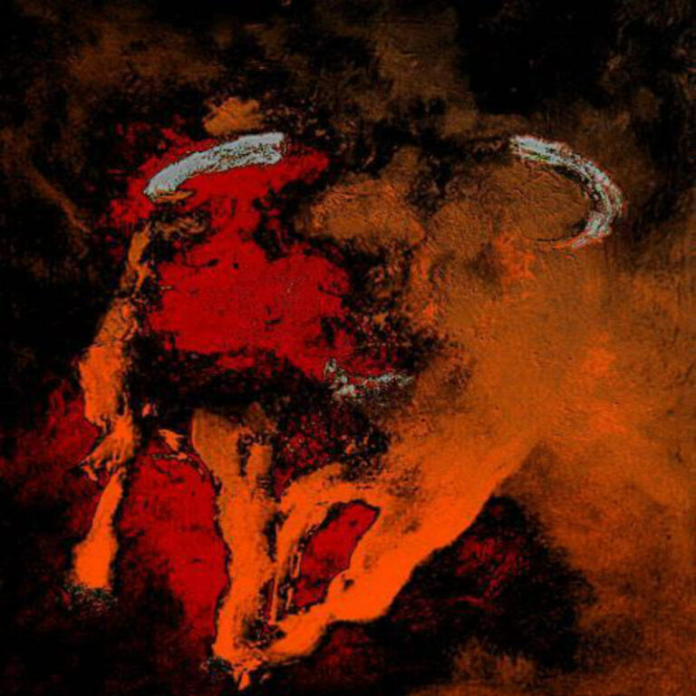 Lee más sobre el artículo Toro de fuego